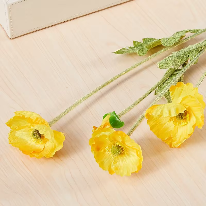 Fleur de pavot Xiaoyu, injFlower de pavot