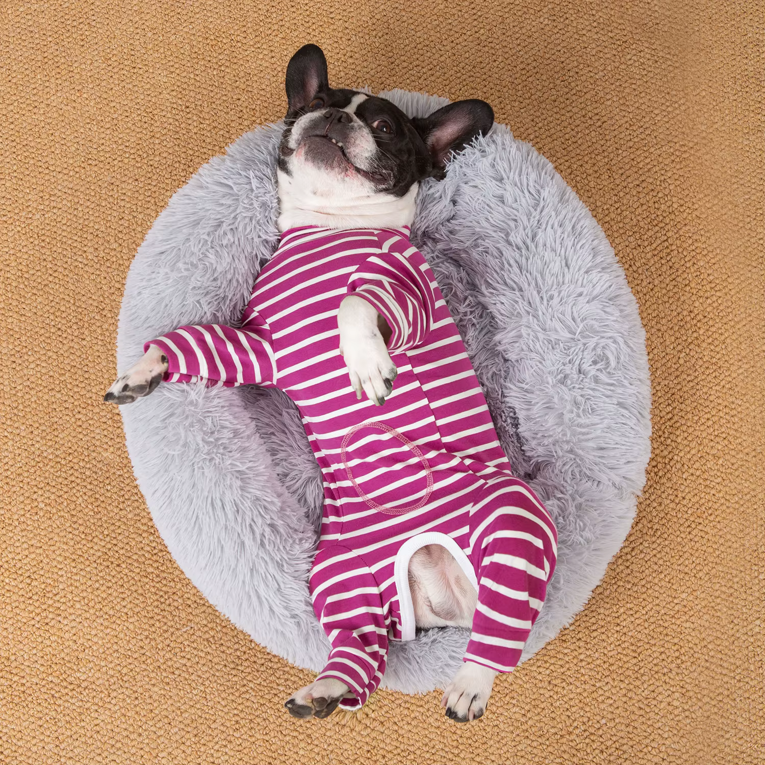 Pyjama pour petits chiens