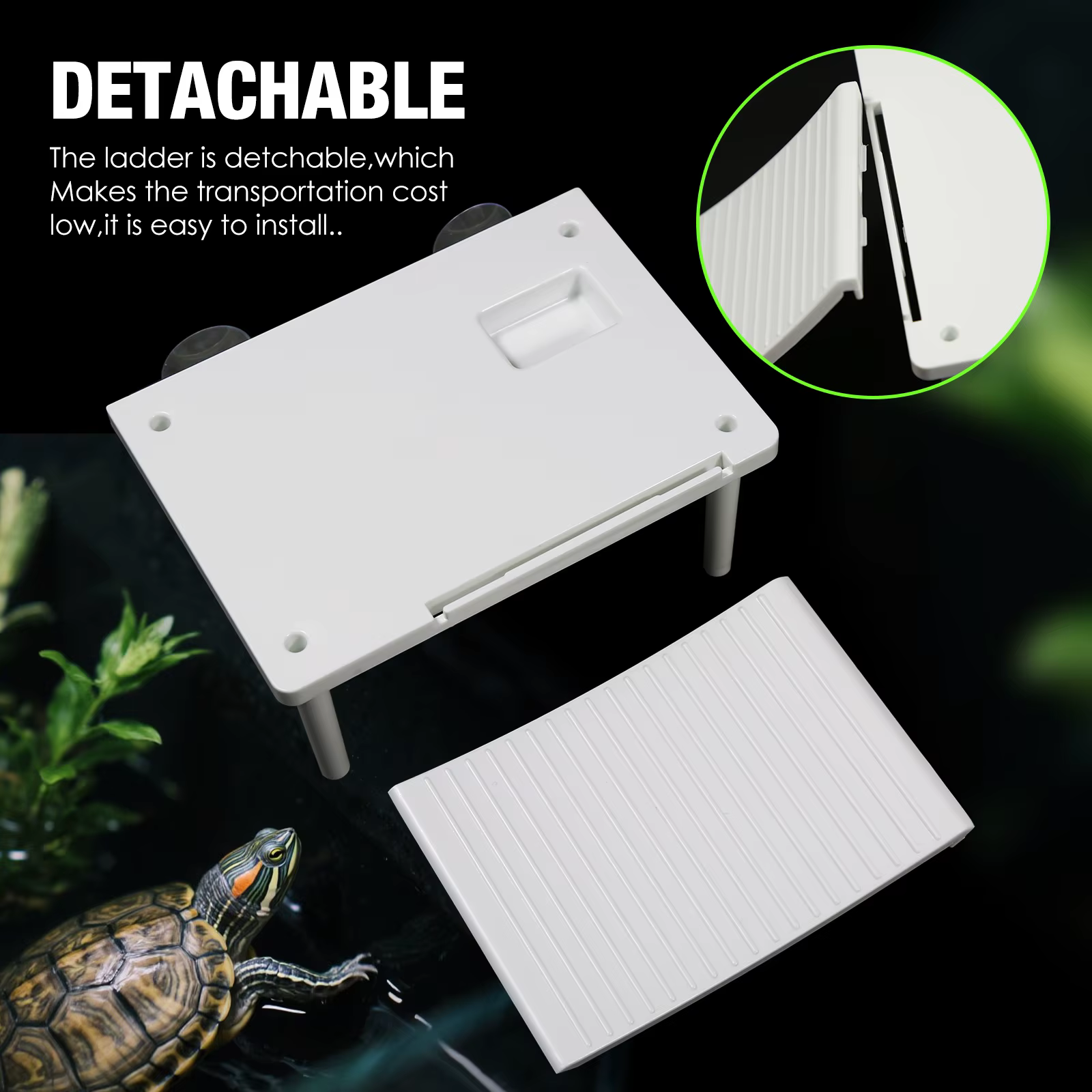 Plateforme de bain de soleil tortue