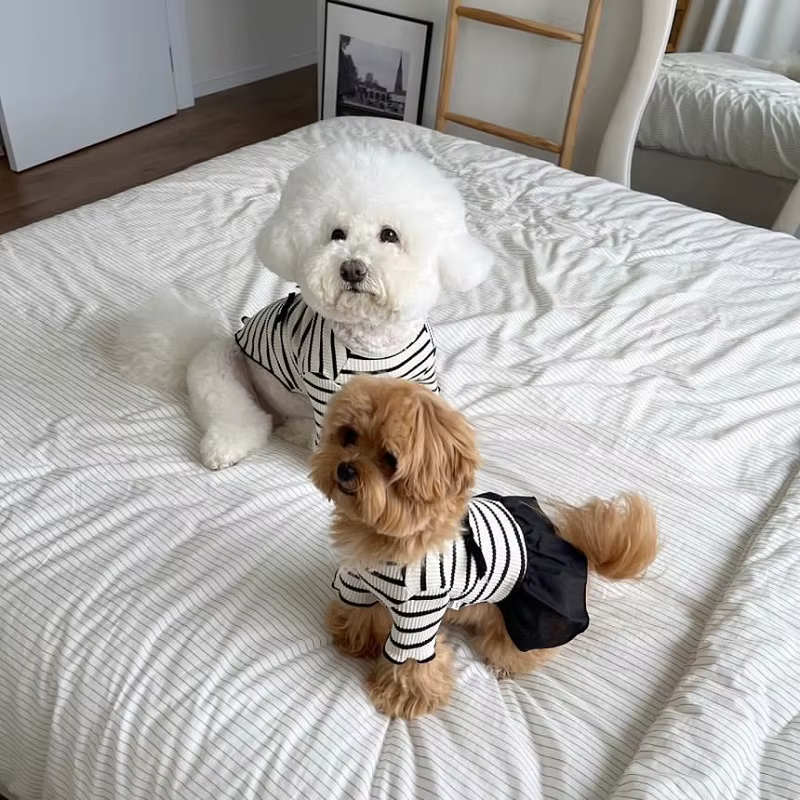 Gilet rayé pour chien, robe pour chien